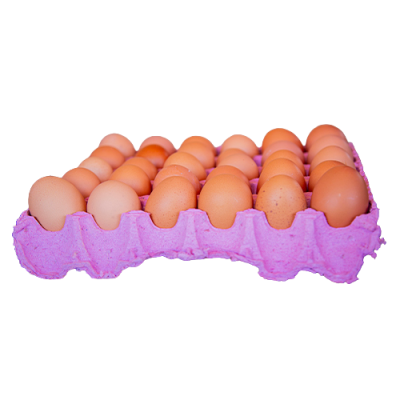 Plaquette d'œufs frais